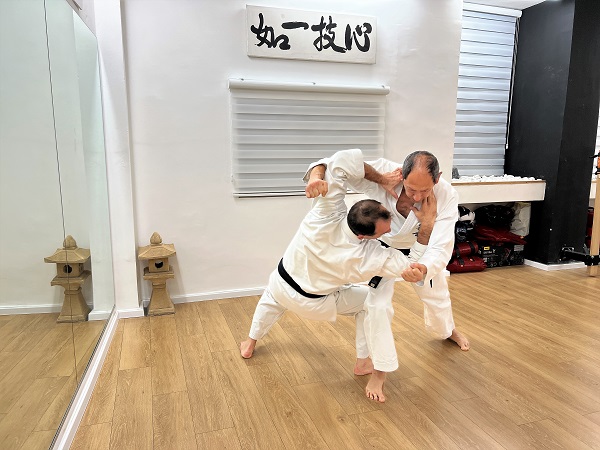 Passai Bunkai Passai Bunkai