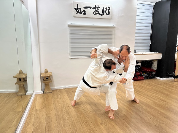 Passai Bunkai