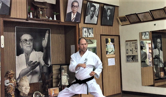 Pathway of karate development