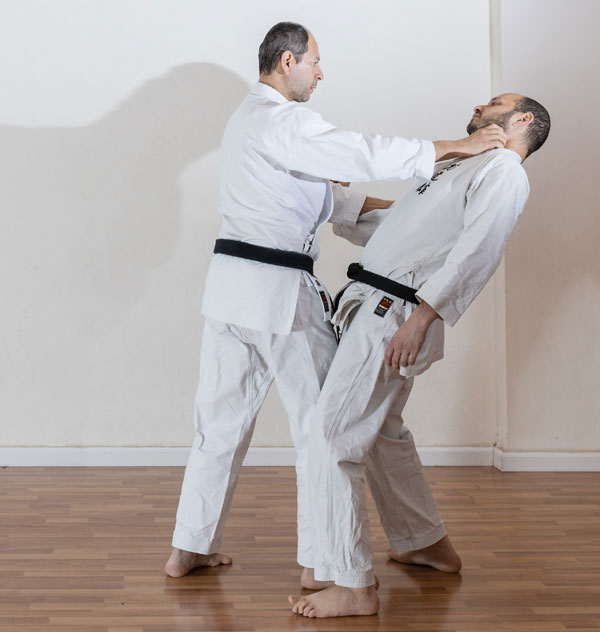 Bunkai-kata