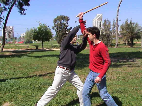 self defence הגנה עצמית נגד מקל