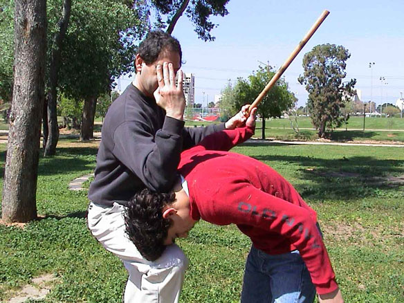 self defence הגנה עצמית